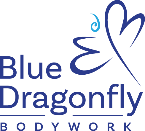 bd bodywork stacked full color RGB Blue Dragonfly Bodywork